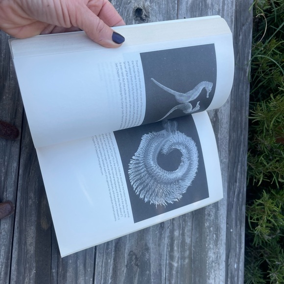 Extreme Lifeof the Sea, by Palumbi and Palumbi - Picture 6 of 8